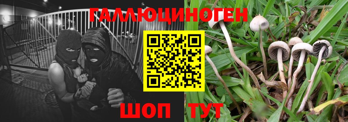 Галлюциногенные грибы Cubensis  Вход с VPN  Псилоцибиновые грибы ЛСД  Наро-Фоминск 